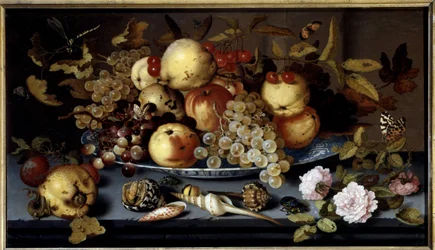 Stillleben mit Früchten, Blumen, Muscheln und Insekten. Niederländische Schule