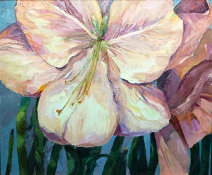 Amaryllis 1, 2004