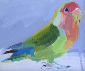 Liebesvogel, 2017