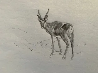 Rentier, 2019