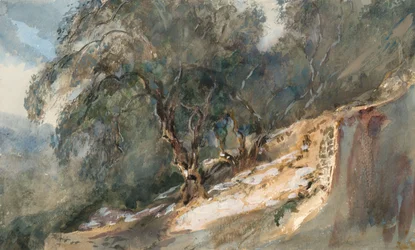 Landschaft: Bäume mit knorrigen Stämmen