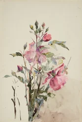 Rosa Blumenstiele