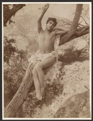 [Jugendlicher mit erhobenem Arm in einem Baum]