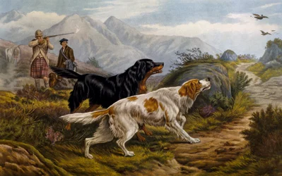 Jagd auf Moorhühner