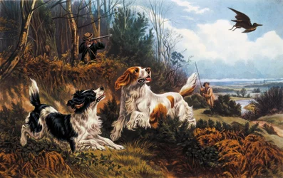 Waldschnepfenjagd