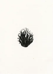 Feuer, 2017