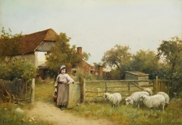 Junges Mädchen mit Schafen, bei einem Cottage