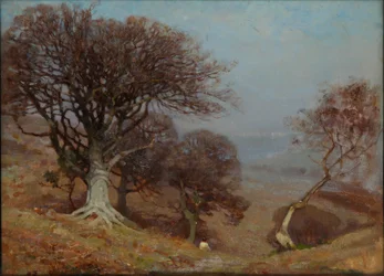 Buchen auf den Quantocks, 1885-1924