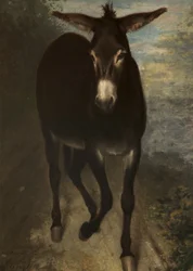 Ein sizilianischer Esel