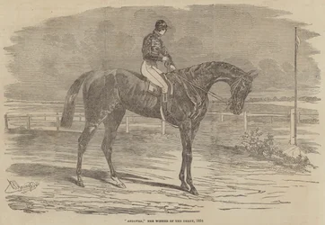 Andover, der Gewinner des Derbys, 1854