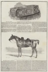 Herzog von Wellington
