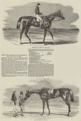 Epsom-Rennen, Porträts der Gewinner des Derby und der Oaks