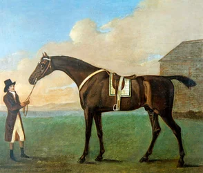 Ein Stallbursche hält die Zügel eines Rennpferdes 