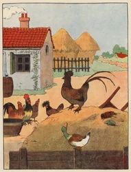 Illustration für Chantecler von Benjamin Rabier