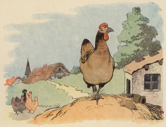 Illustration für Chantecler von Benjamin Rabier