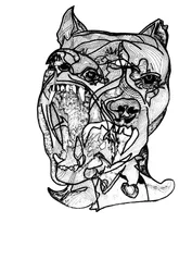 Doppelter Rottweiler, 2019