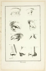 Entwurf: Gesichtsanatomie aus der Encyclopédie