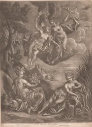 Die vier Elemente
