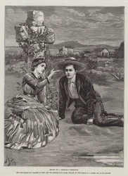 Die Kreuzfahrt der Excelsior, von Bret Harte