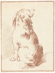 Sitzender Hund