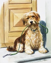 Hund mit Leine im Maul
