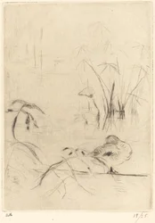 Enten ruhen am Ufer, 1888-1890