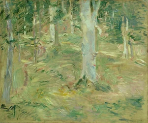 Wald von Compiègne