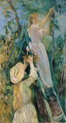 Der Kirschbaum