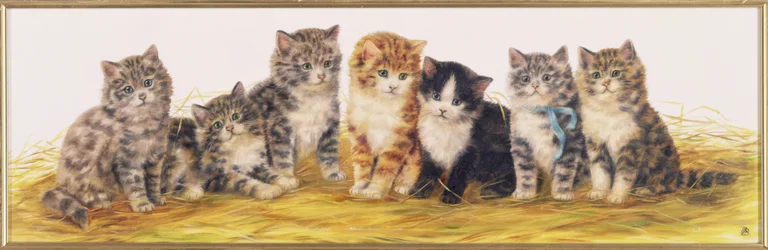 Sieben Kätzchen