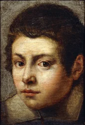 Der Kopf eines Jungen