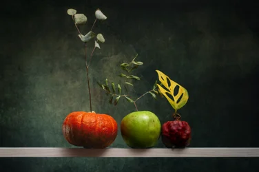 Herbstliches Fruchtarrangement