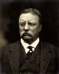 Theodore Roosevelt, ca. 1915