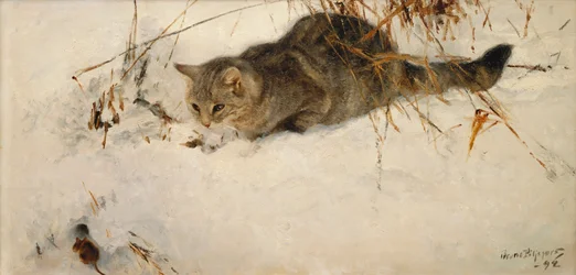 Eine Katze, die im Schnee einer Maus auflauert
