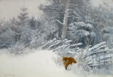 Ein Fuchs im Winterwald