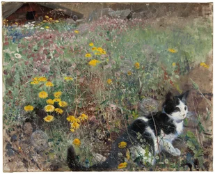 Katze auf einer blumigen Wiese