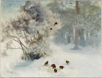 Vogelfütterung im Schnee