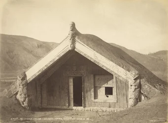 Runanga House - Wairoa - Nach dem Ausbruch 10. Juni 1886, Juli 1886 (Albuminabzug)