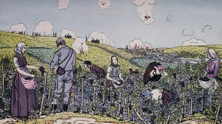 Unsere Winzer unter Beschuss geerntet, die Ernte in der Champagne-Region im Jahr 1914, Erster Weltkrieg, Frankreich, 20. Jahrhundert