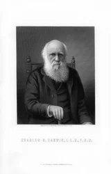 Charles Darwin, britischer Naturforscher, 1899