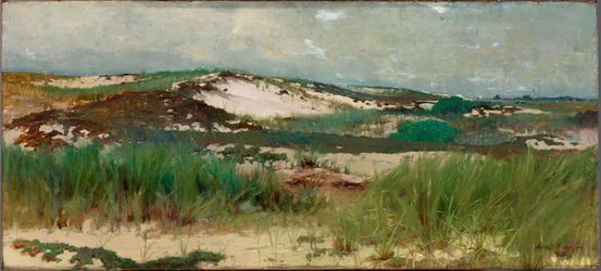 Nantucket Sanddüne