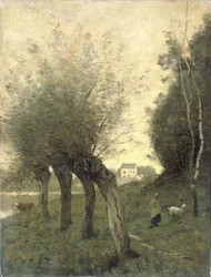 Landschaft mit Kopfweiden