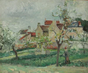 Blühende Pflaumenbäume in Pontoise