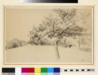 Studie des Obstgartens in Eragny-sur-Epte mit einem Baum im Vordergrund