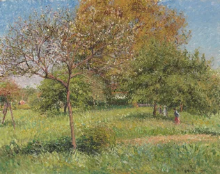 Der große Walnussbaum am Morgen in Eragny, 1901