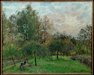 Apfelbäume und Pappeln im Sonnenuntergang