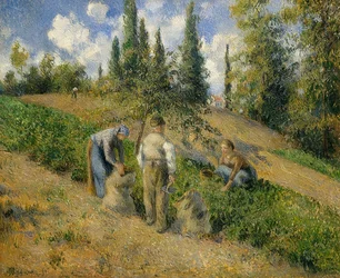Die Ernte, Pontoise