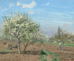 Obstgarten in Blüte, Louveciennes, 1872