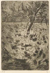 Das Kohlfeld (Le champ de choux)