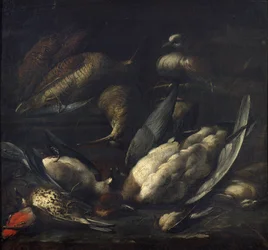 Spiel mit einer lebenden Taube