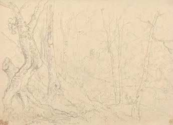 In den Fischteichen bei Hastings